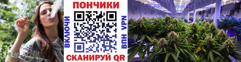 сайты даркнета наркотические препараты  Анадырь  Канабис MAZAR 